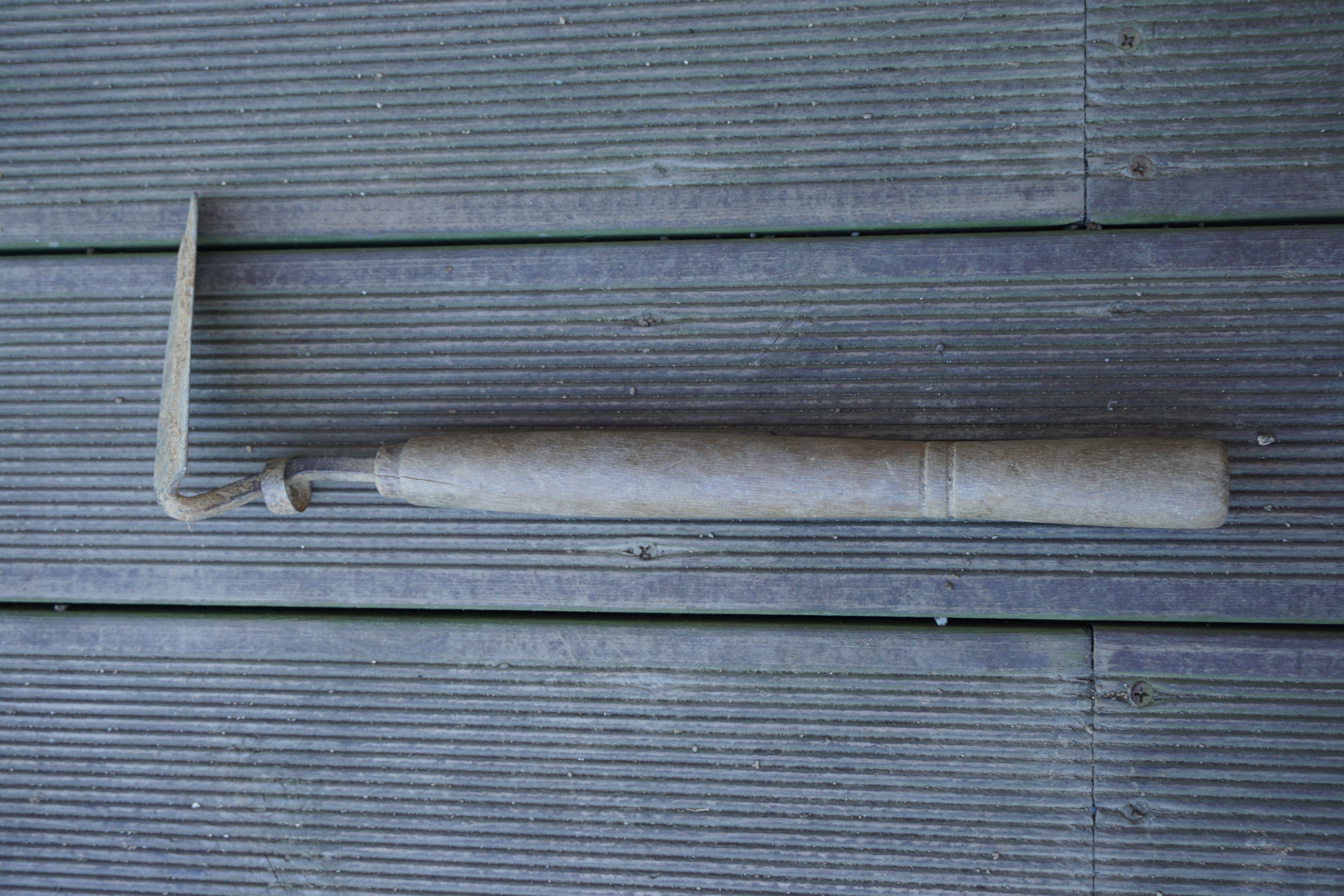 DSC00008
