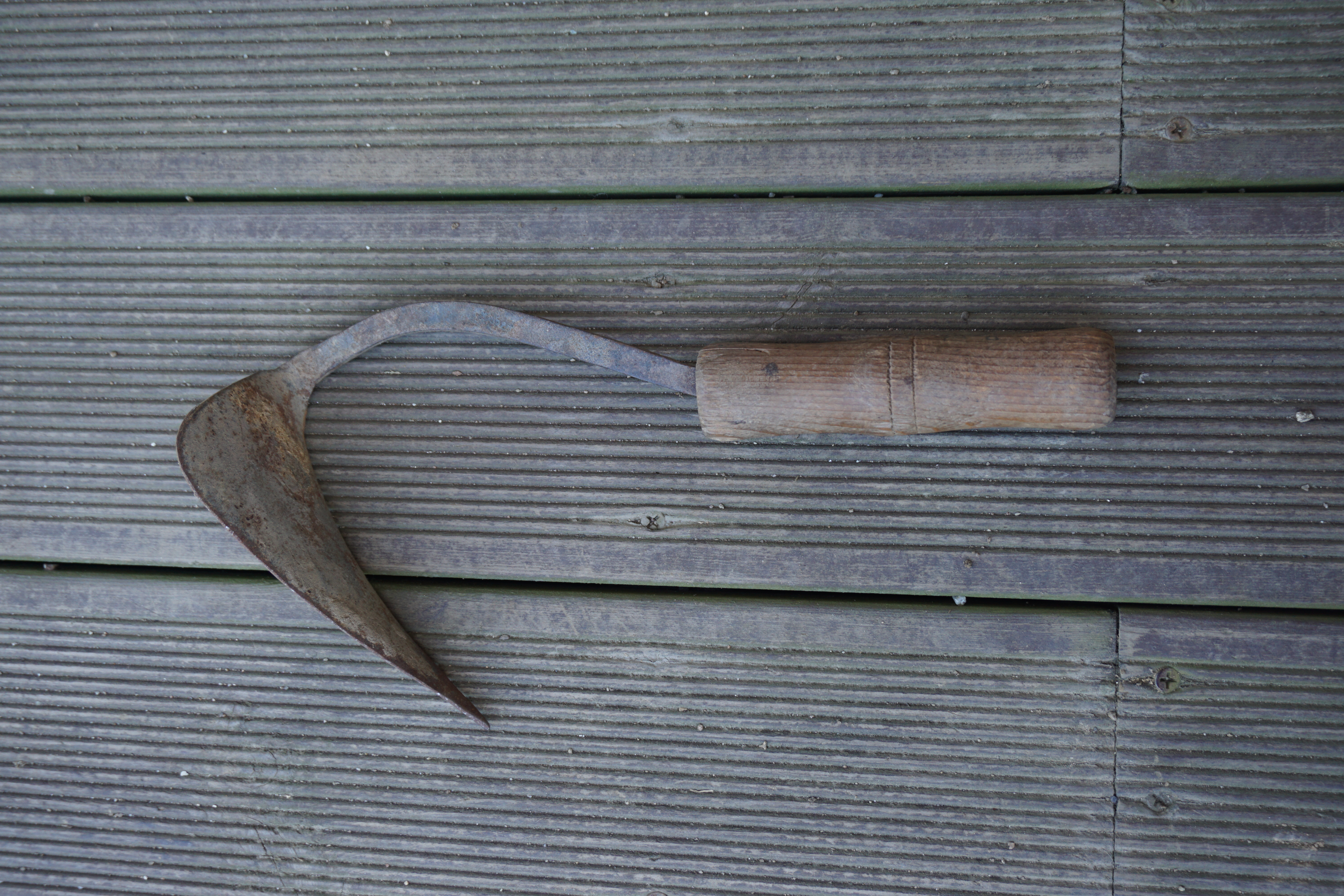 DSC00010