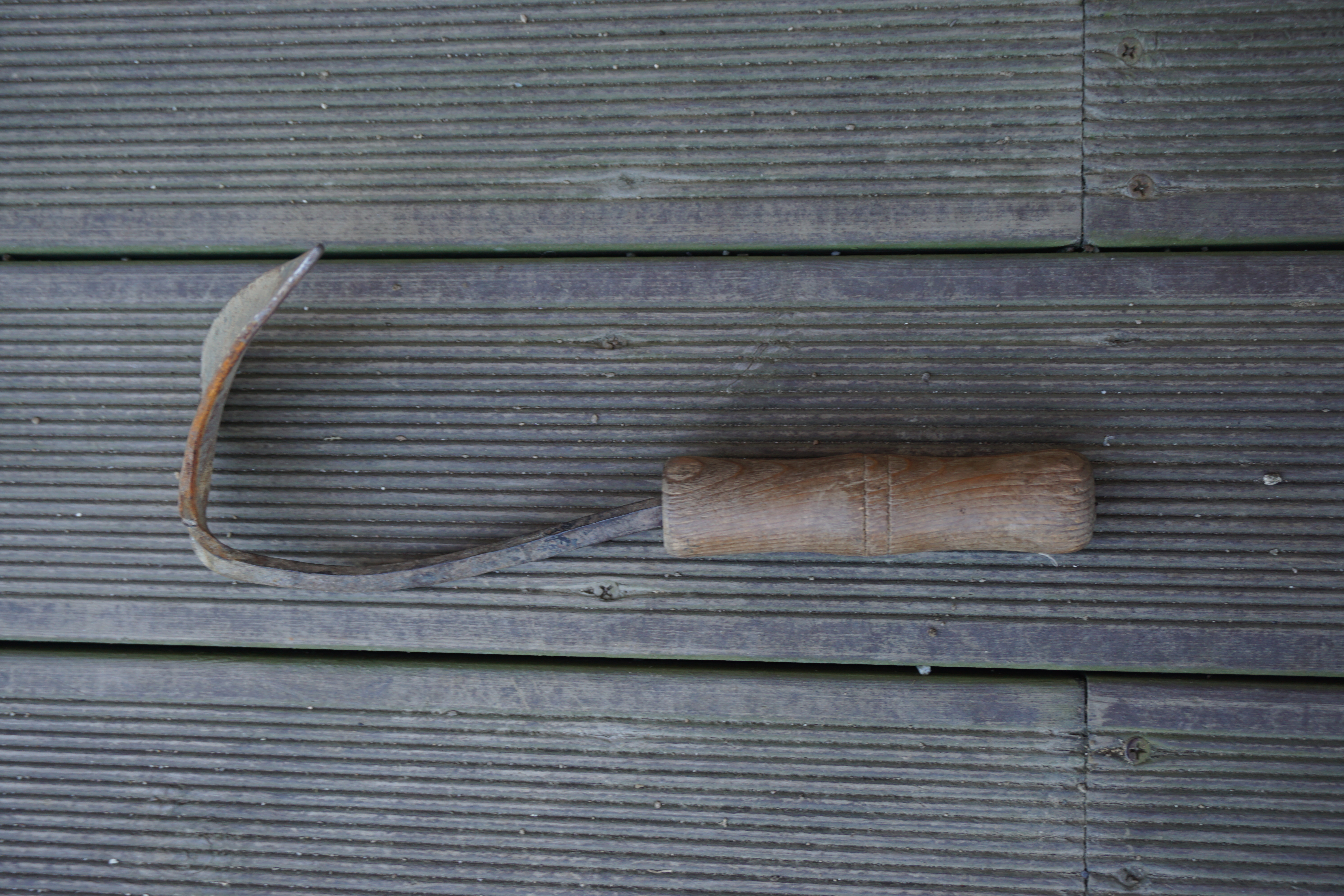 DSC00013