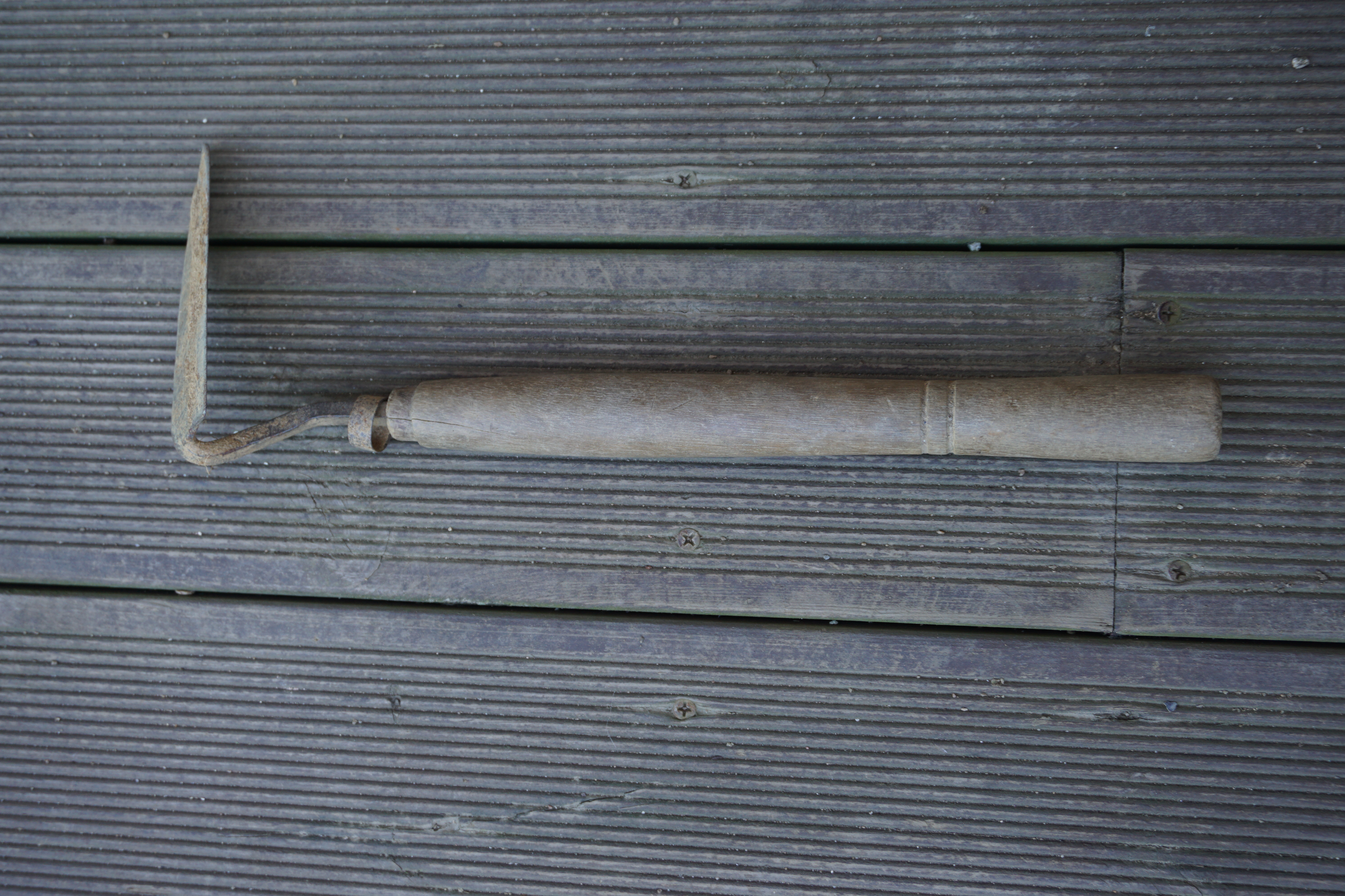 DSC00016